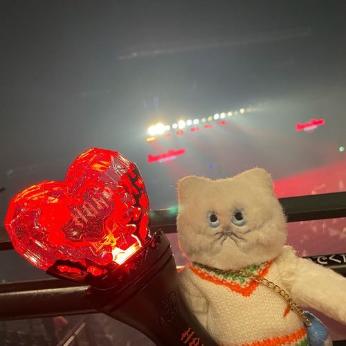 くた はにーずに なったの