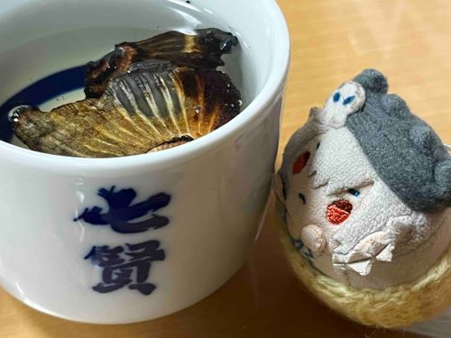 はじめてひれざけをのむぞ…！