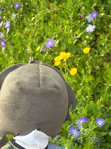 「ねぇ、そらそろ庭も耕していいかい？」
「…え、や。何を言い出したの」
「だから庭を耕すんだ。家庭菜園ってやつだよ」