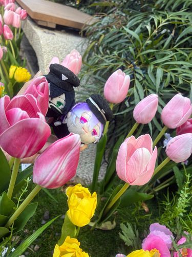 チューリップ🌷だよ！
もち清麿「はしゃぎすぎじゃない？」
もち水心子「…それより食べ過ぎなのでは？」