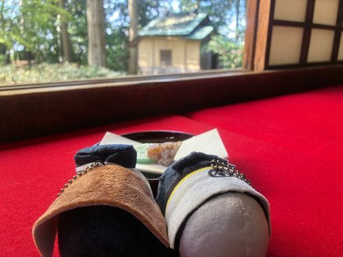 お茶席にお邪魔せていただいたぞ。それはそれでとても見応えのある景色。