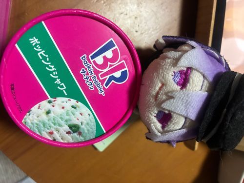 もち麿3「主、今日も一日お疲れ様。暑くなってきたから水分しったり取って、体の熱を下げることも大切だからね」
