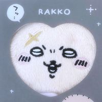 teacher_rakko