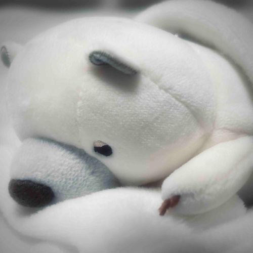 💤