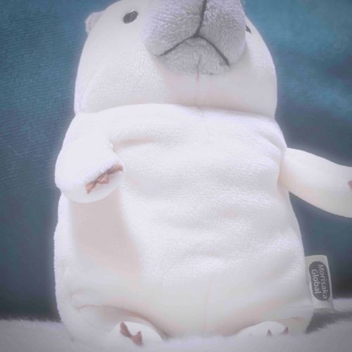 どの角度から撮っても🆗
