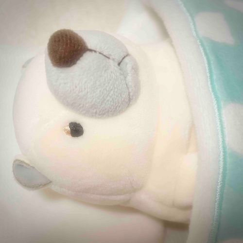 俺は一体…