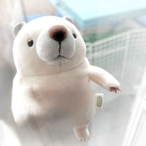 あーん、写り込んだ手を消そうとしたら空間が歪んじゃったしん!
なんなのぉー(；ω；)