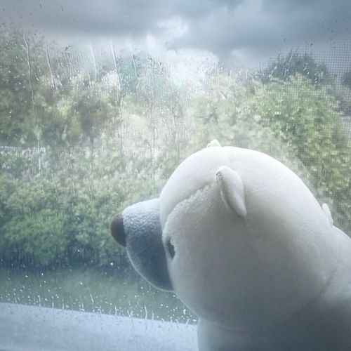 あーん、雨の日は休みたいしんよー！
ハメハメハ大王だしんからー！