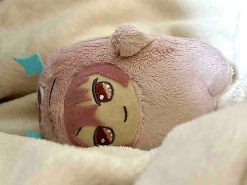 もうふもいいが、おれのけなみもまけてないぜ？
モフモフすると、いやされることまちがいなしだ