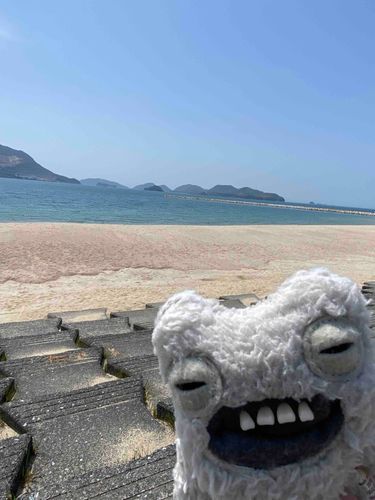 海に行ってきましたよ💚💚
もう泳げるほどに暑かったー😵
