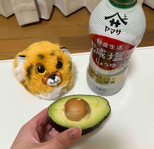 たしなむ