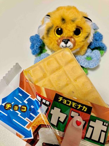 ちょこの　かべ