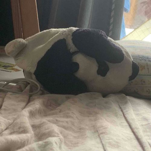 柔軟pan