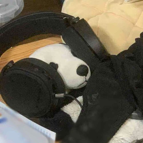 「目と耳で聞くんよ、音楽は」
