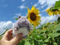 ごまだんご