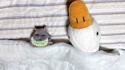 おおきいおふとん で ねるひもある