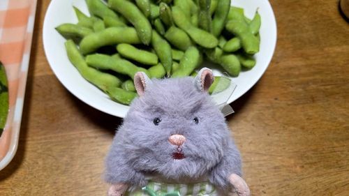 えだまめは ごまがぜんぶたべる