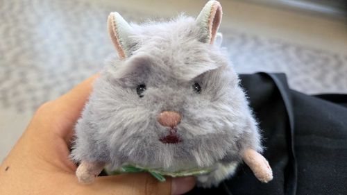 まゆげ