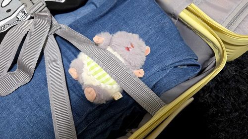 りょこう つれてって