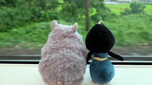 おでかけ たのしい