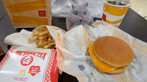 かいぬし やすみないから やけぐいしてた