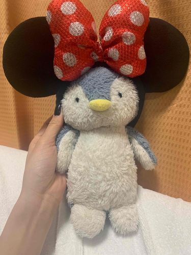 ｺﾚﾀﾞｯﾀﾗﾃﾞｨｽﾞﾆｰｷｬﾗﾆﾅﾚﾃﾙ?ﾃﾞｨｽﾞﾆｰｲｯｼｮﾆｲｯﾃﾓｲｲ?