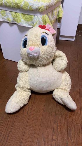 ｵｵｳｻﾃﾞｽ