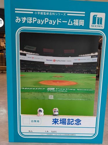 ふくおかけんに、きている。