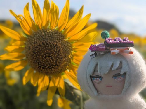 なつのはなです。