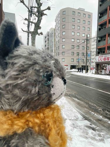 おはようございます
北海道2日目寒さが厳しいです