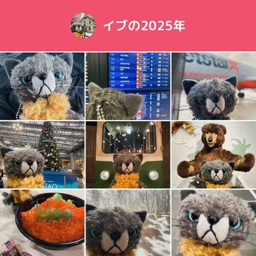 まだはじめて５日目だけど、たくさん写真をアップしたよ😚思い出たくさん♪
来年はもっとたくさんの方と交流できたらいいなぁ
2026年もよろしくね〜🪁