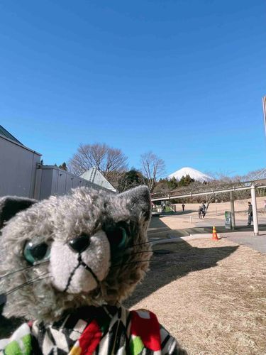 遠目からだけど富士山見えたよ‼︎🗻
いい一年になりそうな清々しさです😃