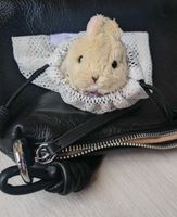 ひこぽん
