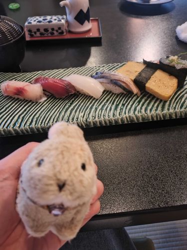 寿司🍣