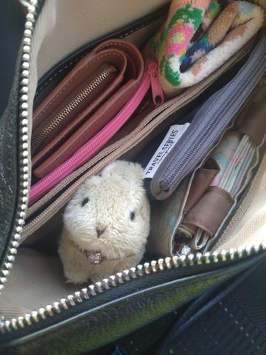 狭くない、飼い主のパートや出かける時はバッグ中で待機🐰