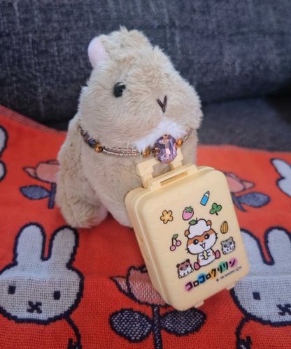 トコル🐰も荷造り完了！