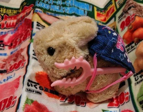 買い物は戦いです🐰