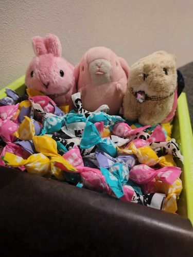 新しい🐰
ピンクの子もお迎えしちゃった！