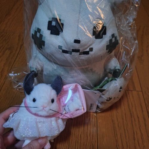 家族のぬいぐるみと🥰🥰