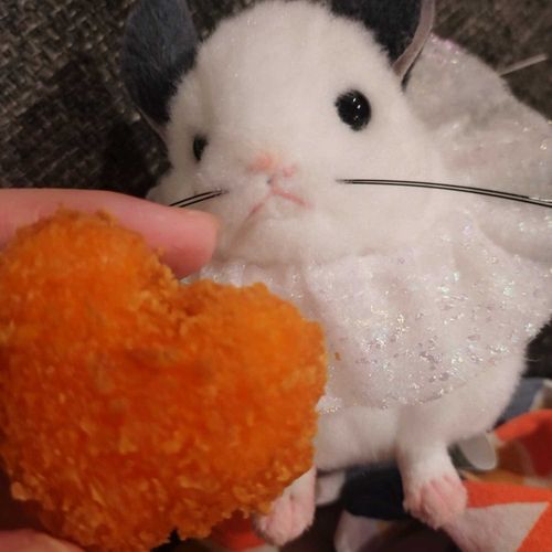 ハート発見💓💓💓💓