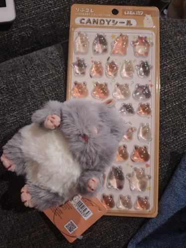 みんなの見ててついにお迎えしちゃった！
名前はかつハムです！宜しく🐹