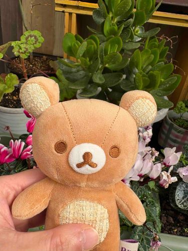 おはようございます！

今朝はいいお天気です。
お庭のお花はお水をもらって嬉しそうです。

もう少し暖かくなると、咲くお花も増えるかな？

今日がよい一日になりますように！