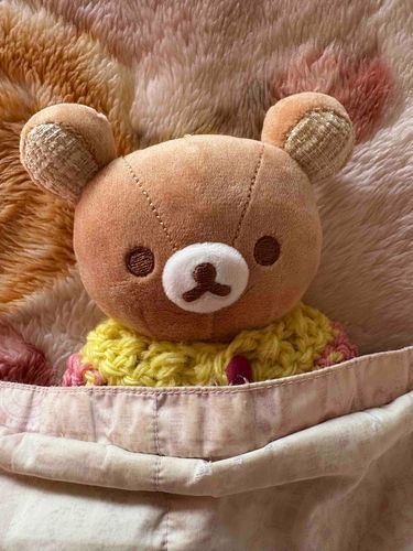 おはようございます。

今朝はうおっちさんが風邪で調子を崩して寝ているので、私も横で添い寝してあげています。

皆さんも寒暖差に気をつけて下さいね！