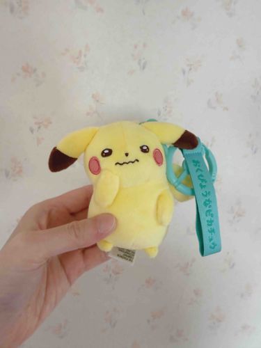 今日から、うおっちさん一家の家族の一員になったよ！

おくびょうなピカチュウのおとこの子のビビだよ。

みんな仲良くしてくれるかなぁ？？

よろしくお願いします！

2枚目の写真は、一緒に暮らすことになったうおクマと。
お互いまだ緊張してるんだ。