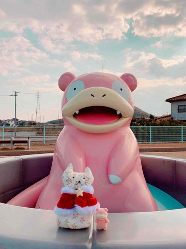 ねこです。
ヤドン公園を満喫したよ。