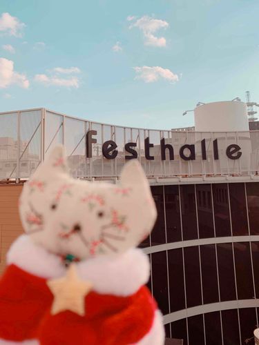 ねこです。
今日は飼い主の「推し」のライブのために香川へお出かけしてたよ。
飼い主、ライブが終わった後から「センキュー香川…」しか言わなくなっちゃった。
