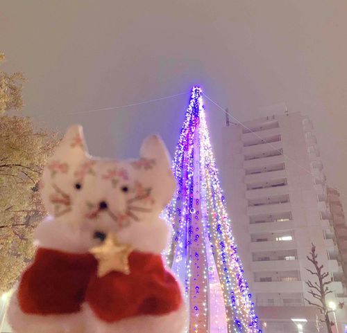 ねこです。
今日は飼い主の「推し」のライブで名古屋にお出かけしたよ。
飼い主、「最高最高最高〜！」しか喋んなくなっちゃた。