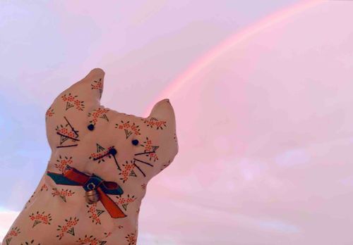 ねこです。
虹が出てるよ〜🌈