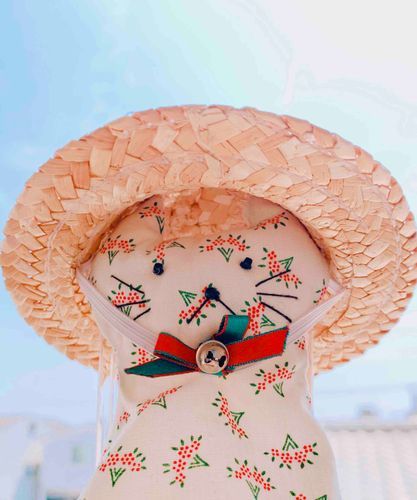 ねこです。
暑くなってきたからね、帽子買ってもらったよ〜👒