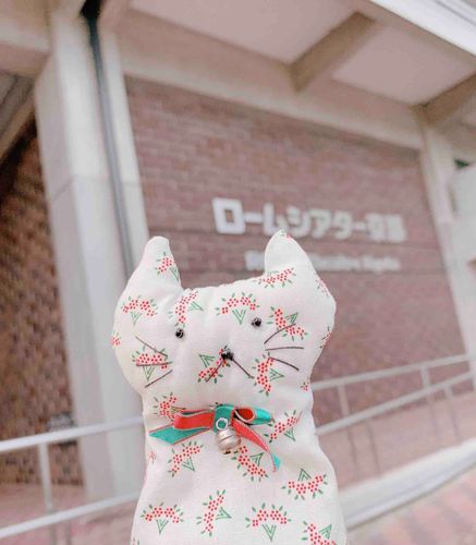 ねこです。
飼い主の「推し」のライブで京都に来たよ〜